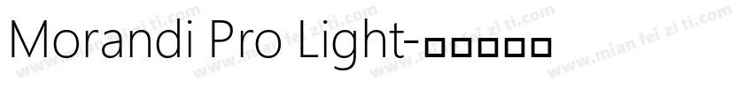 Morandi Pro Light字体转换
